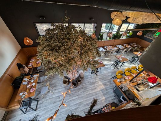 JIA Asian Street Kitchen by null