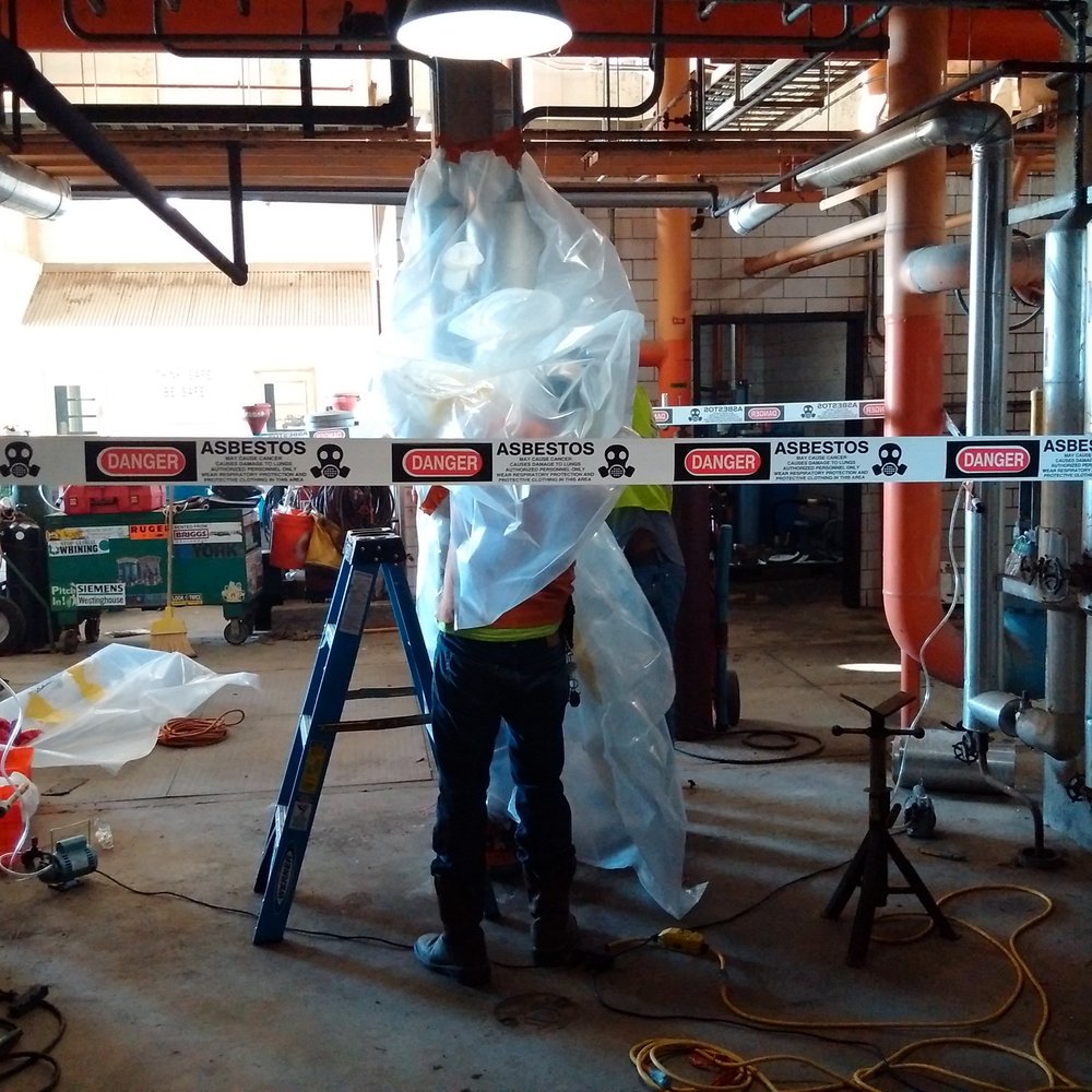 La Gracia Consulting Solutions - mold inspector in Katy, TX