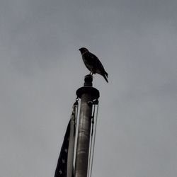 Greenwood Cemetery