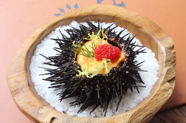 Gattopardo Ristorante di Mare by null