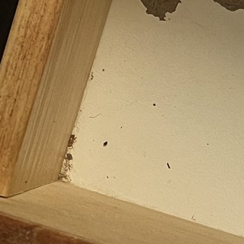 Courtyard by Marriott Charlotte Gastonia - bed bugs‼‼ - Hotels Near Me - Gastonia, North Carolina