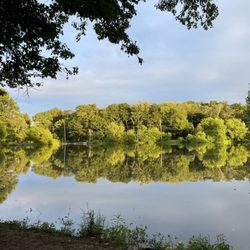 Demott Park - 7/7/26