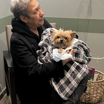 BluePearl Pet Hospital - Our last moments - Veterinarians Near Me - Paramus, New Jersey
