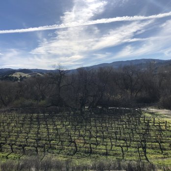Sunstone Winery - Vineyard (but no leaves bc harvest ended lol) - Wine Tasting Room Near Me - Santa Ynez, California Sunstone Winery - Vineyard (but no leaves bc harvest ended lol) - Wine Tasting Room Near Me - Santa Ynez, California