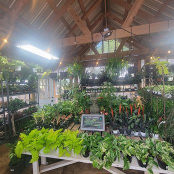 Enchanted Gardens - House plants - Nurseries & Gardening Near Me - Richmond, Texas