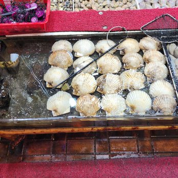 西貢全記海鮮酒家 - Live scallops - Seafood Near Me - Hong Kong, HK