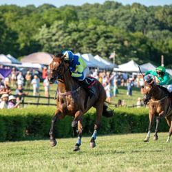 Iroquois Steeplechase