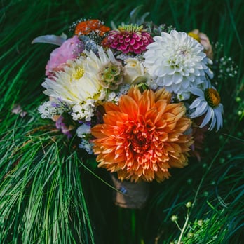 Sweet Roots Farm - mother of the bride bouquet. Kris Holland Photography - Nurseries & Gardening Near Me - Grass Valley, California Sweet Roots Farm - mother of the bride bouquet. Kris Holland Photography - Nurseries & Gardening Near Me - Grass Valley, California