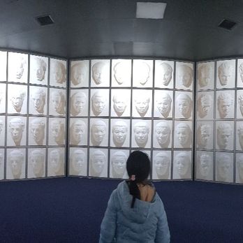 Puzzling World - Amusement Parks Near Me - Wanaka, MWT