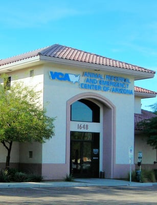 vca animal hospital emergency