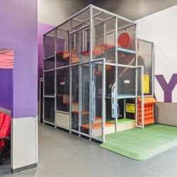 Crunch Fitness - Arlington