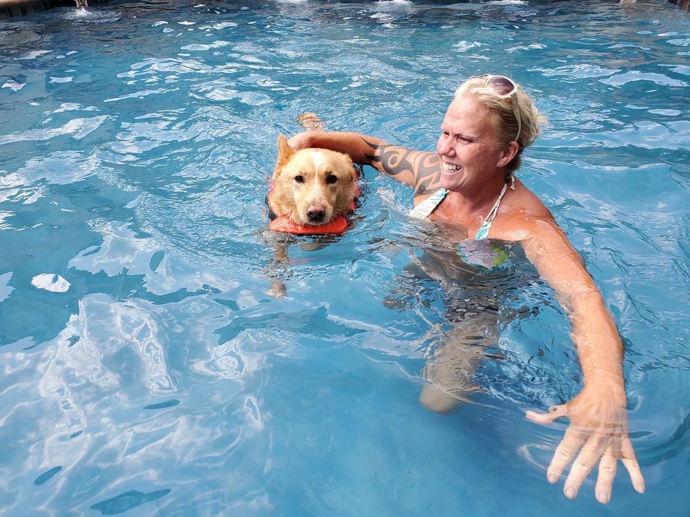 BUBBLES & BOWS BOUTIQUE Updated June 2024 21 Photos 1115 Freedom Mill Rd, Gastonia, North