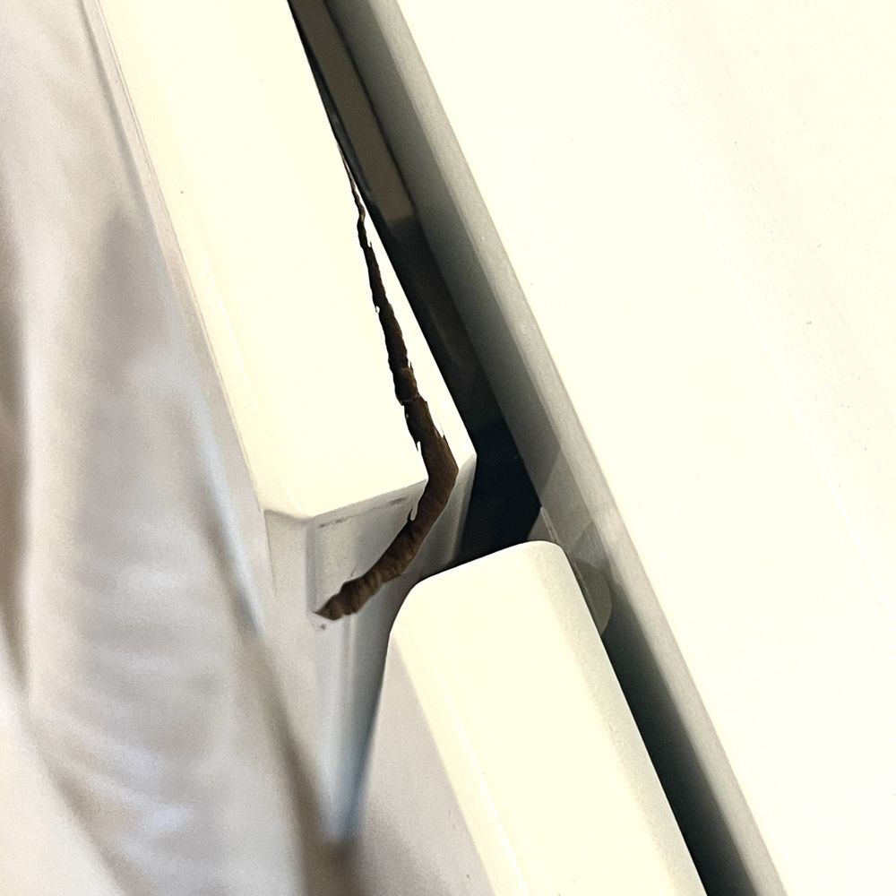 Cabinets To Go - a bird perched on a window sill - Kitchen & Bath Near Me - Braintree, Massachusetts