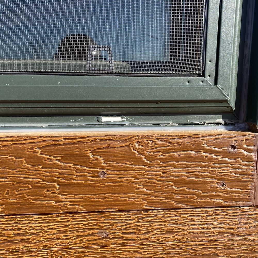 Bee Window - A mess - Windows Installation Near Me - Fishers, Indiana Bee Window - A mess - Windows Installation Near Me - Fishers, Indiana