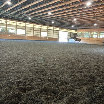 Saddlebrook Ridge Equestrian Center - Large arena! Great school horse Ringo!! - Horseback Riding Near Me - Shamong, New Jersey Saddlebrook Ridge Equestrian Center - Large arena! Great school horse Ringo!! - Horseback Riding Near Me - Shamong, New Jersey