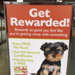 most comfortable greyhound muzzle