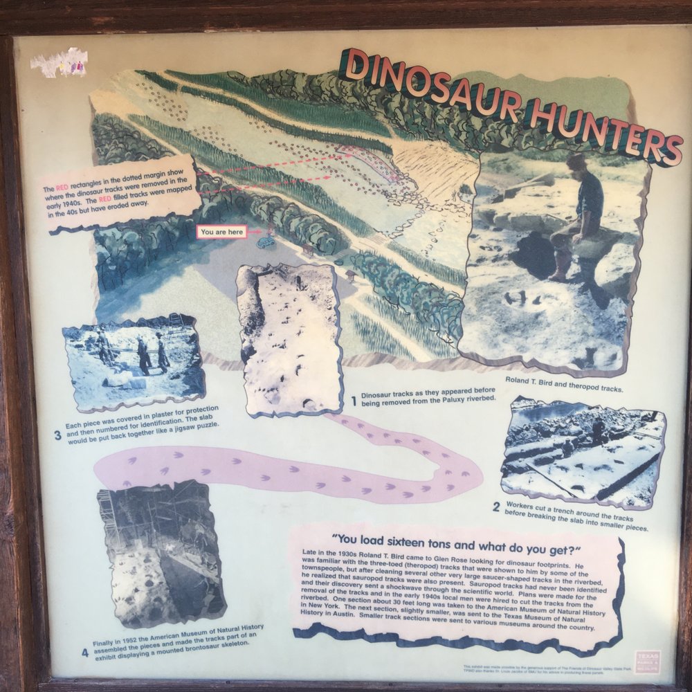 Dinosaur Valley State Park - Parks Near Me - Glen Rose, Texas