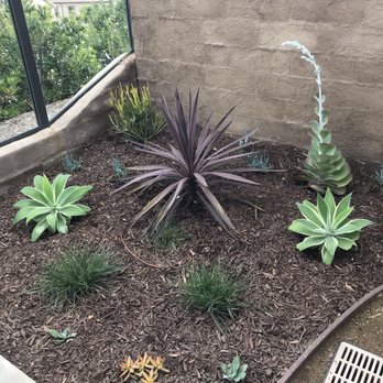Green's Landscaping - a view of a garden with succulents - Landscaping Near Me Green's Landscaping - a view of a garden with succulents - Landscaping Near Me