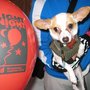 Photo of Light The Night Walk - The Leukemia & Lymphoma Society