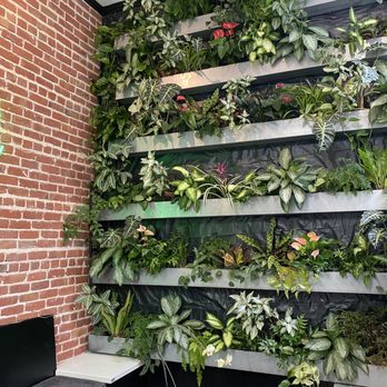 Tellus Coffee - Plants!!!! Very millennial approved - Coffee Roasteries Near Me - Walnut Creek, California