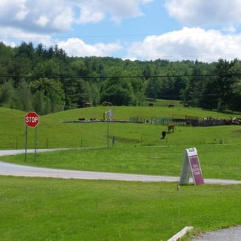 Boyden Valley Winery & Spirits - pasture across the street from Boyden 2 - Wineries Near Me - Cambridge, Vermont Boyden Valley Winery & Spirits - pasture across the street from Boyden 2 - Wineries Near Me - Cambridge, Vermont