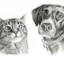 Photo of Foster and Forever Pet Rescue