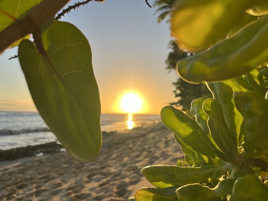 Diamond Head Beach Park by null