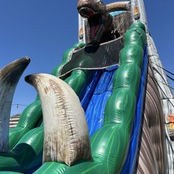 Jolly Jumps - Massive TRex water slide