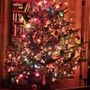 Photo of The Christmas Tree Farm