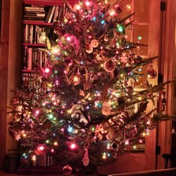 The Christmas Tree Farm