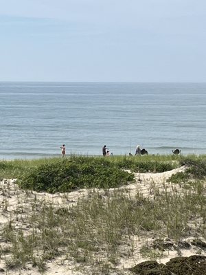 Sea Crest Resort by null