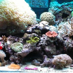 Marine Design and Service