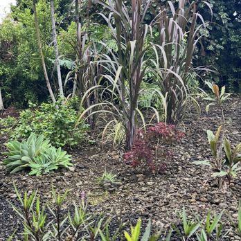 Love It Landscapes - Plant Screen AFTER - Landscape Architects or Designers Near Me Love It Landscapes - Plant Screen AFTER - Landscape Architects or Designers Near Me