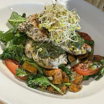 Frothy Monkey - Chicken dish has yummy garlic flavor - Coffee & Tea Near Me - Homewood, Alabama Frothy Monkey - Chicken dish has yummy garlic flavor - Coffee & Tea Near Me - Homewood, Alabama
