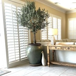 Pottery Paradise - Perfect pot for my love tree