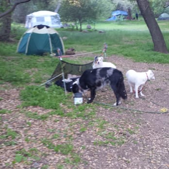 Fremont Campground - Campgrounds Near Me - Santa Barbara, California