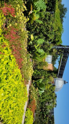 New Orleans Botanical Garden by null