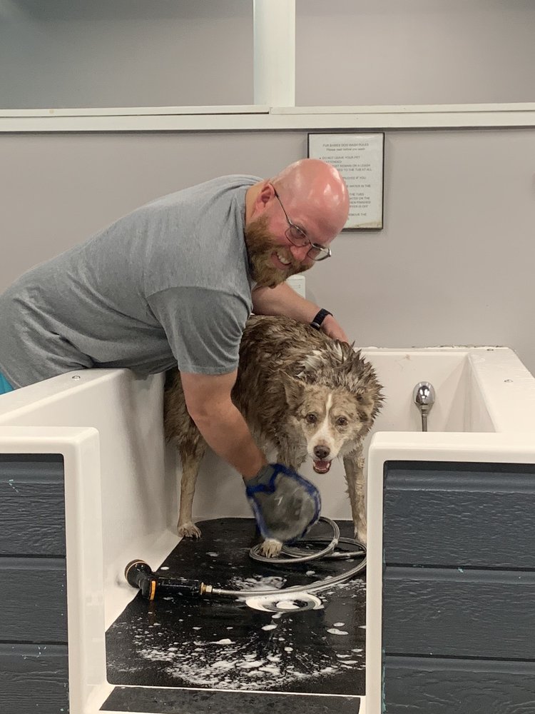 FUR BABIES Updated July 2024 27 Photos & 47 Reviews 1303 Kingwood