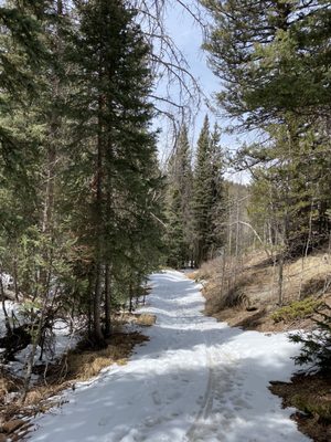 Mueller State Park by null