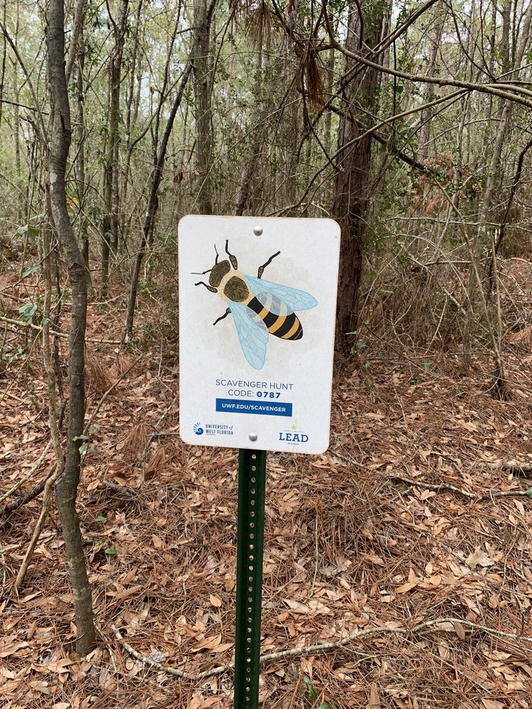 Social spots from Edward Ball Nature Trail
