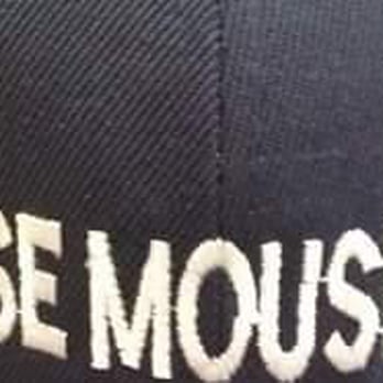 House Mouse - We pry ourselves on customer service by reaching our customers needs - Pest Control Near Me - Little Falls, New York