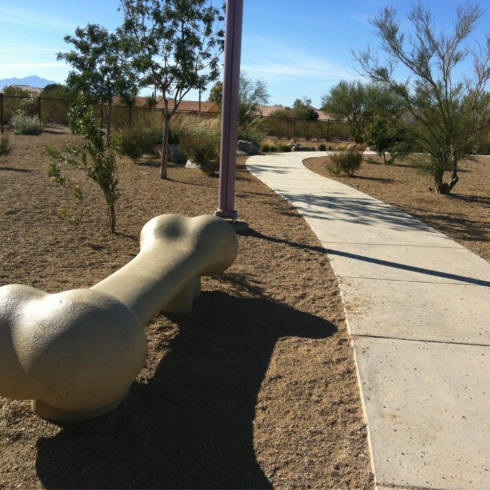 Purple Heart Park: Ivan's Spot - Bone bench at the dog park - Dog Parks Near Me - Tucson, Arizona Purple Heart Park: Ivan's Spot - Bone bench at the dog park - Dog Parks Near Me - Tucson, Arizona