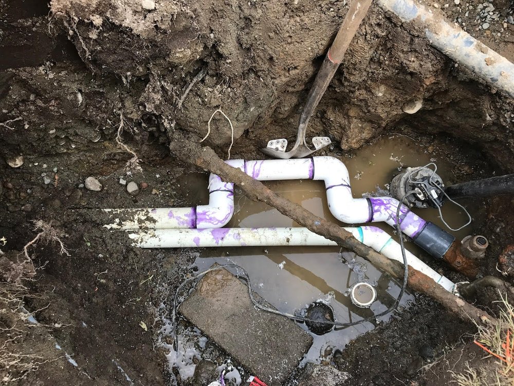 Slide of All About Rooter