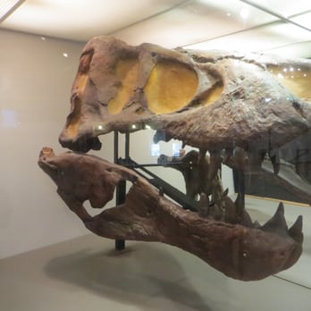 Pacific Science Center - Pacific Science Center 08 - Museums Near Me - Seattle, Washington Pacific Science Center - Pacific Science Center 08 - Museums Near Me - Seattle, Washington