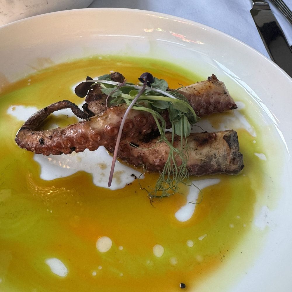 Prossimo Ristorante - Fresh octopus - Italian Near Me - Tulsa, Oklahoma Prossimo Ristorante - Fresh octopus - Italian Near Me - Tulsa, Oklahoma