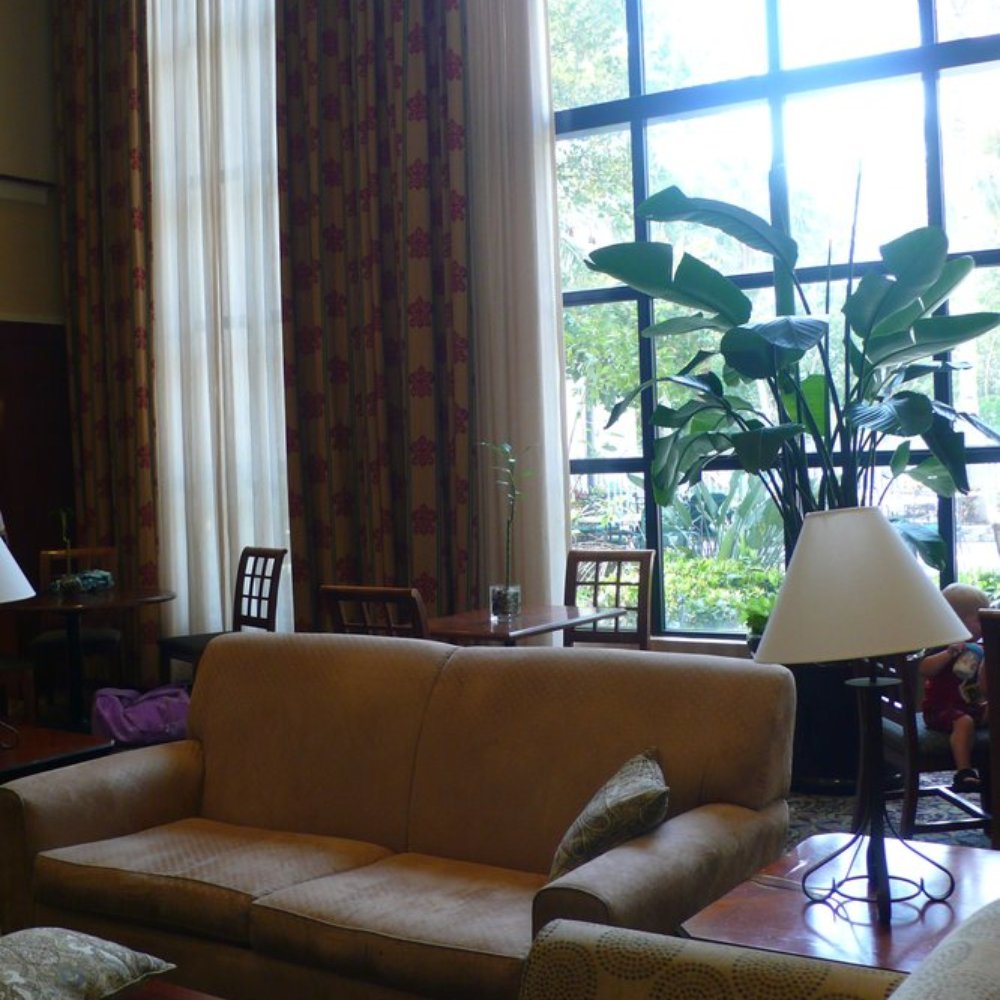 Staybridge Suites - Hotels Near Me - Plantation, Florida Staybridge Suites - Hotels Near Me - Plantation, Florida
