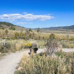 Run-A-Muk Dog Park