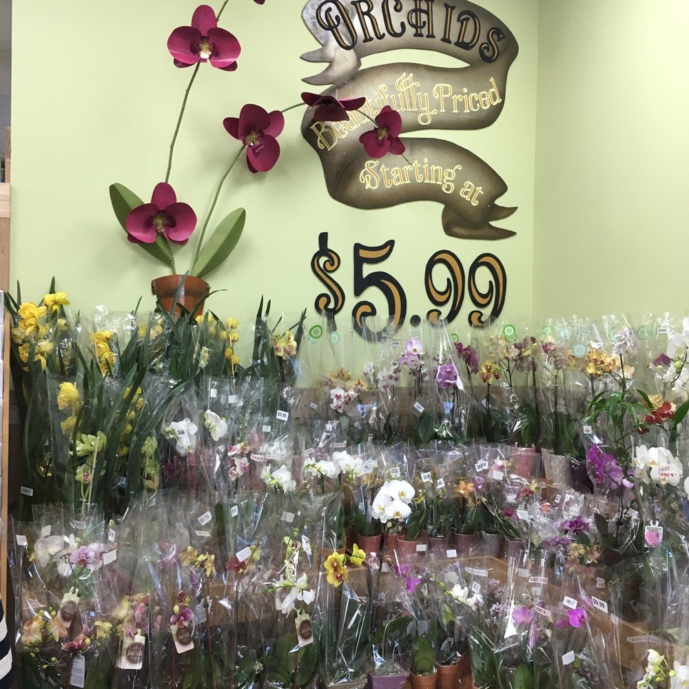 Trader Joe's - Grocery Near Me - Shoreline, Washington Trader Joe's - Grocery Near Me - Shoreline, Washington