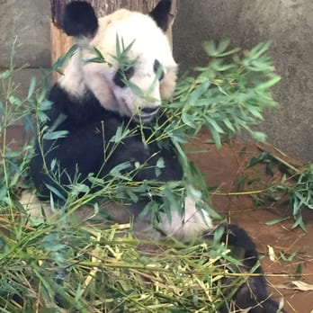 Memphis Zoo - Zoos Near Me - Memphis, Tennessee Memphis Zoo - Zoos Near Me - Memphis, Tennessee