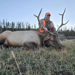 Ivory & Antler Outfitters - My first Elk!